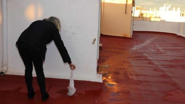 Una mujer es denunciada por su vecina porque el perro le llenase de excrementos la terraza y por el ruido: es absuelta porque los daños no fueron demostrados