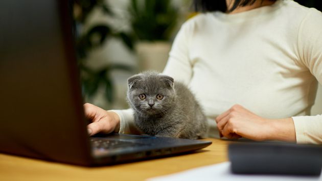 El permiso retribuido de 3 días por el fallecimiento de tu mascota ya es una realidad en esta empresa española: “los animales son uno más de la familia”