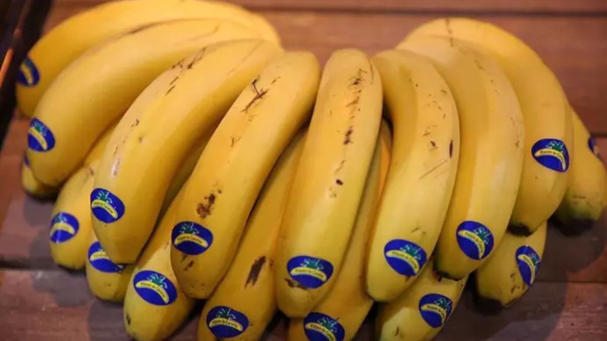 Plátanos de Canarias Plátanos de Canarias