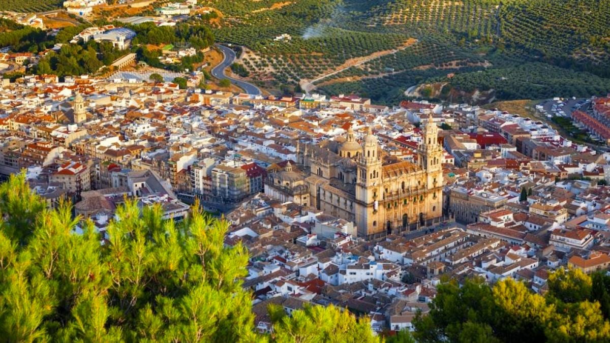 IMEFE ofrece más de 200 Puestos de Trabajo en Jaén