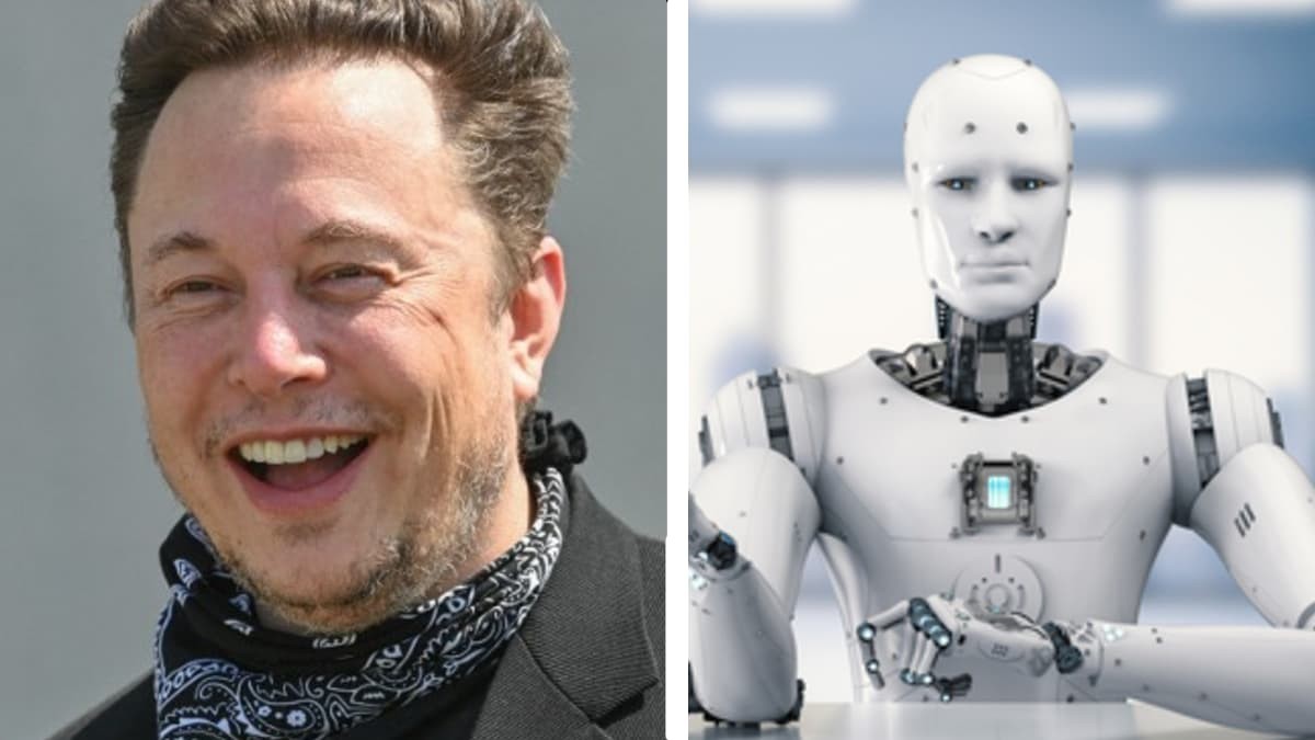 Elon Musk ofrece empleo con un sueldo de 6.000 euros al mes solo por caminar, pero hay que cumplir con estos requisitos