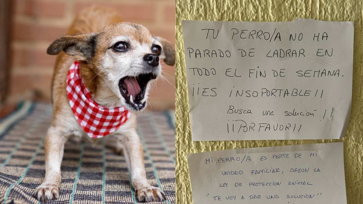 Un vecino se queja por los ladridos de un perro del edificio y el dueño le responde dándole una increíble solución